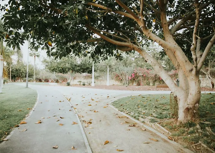 Maria Playa de las Américas